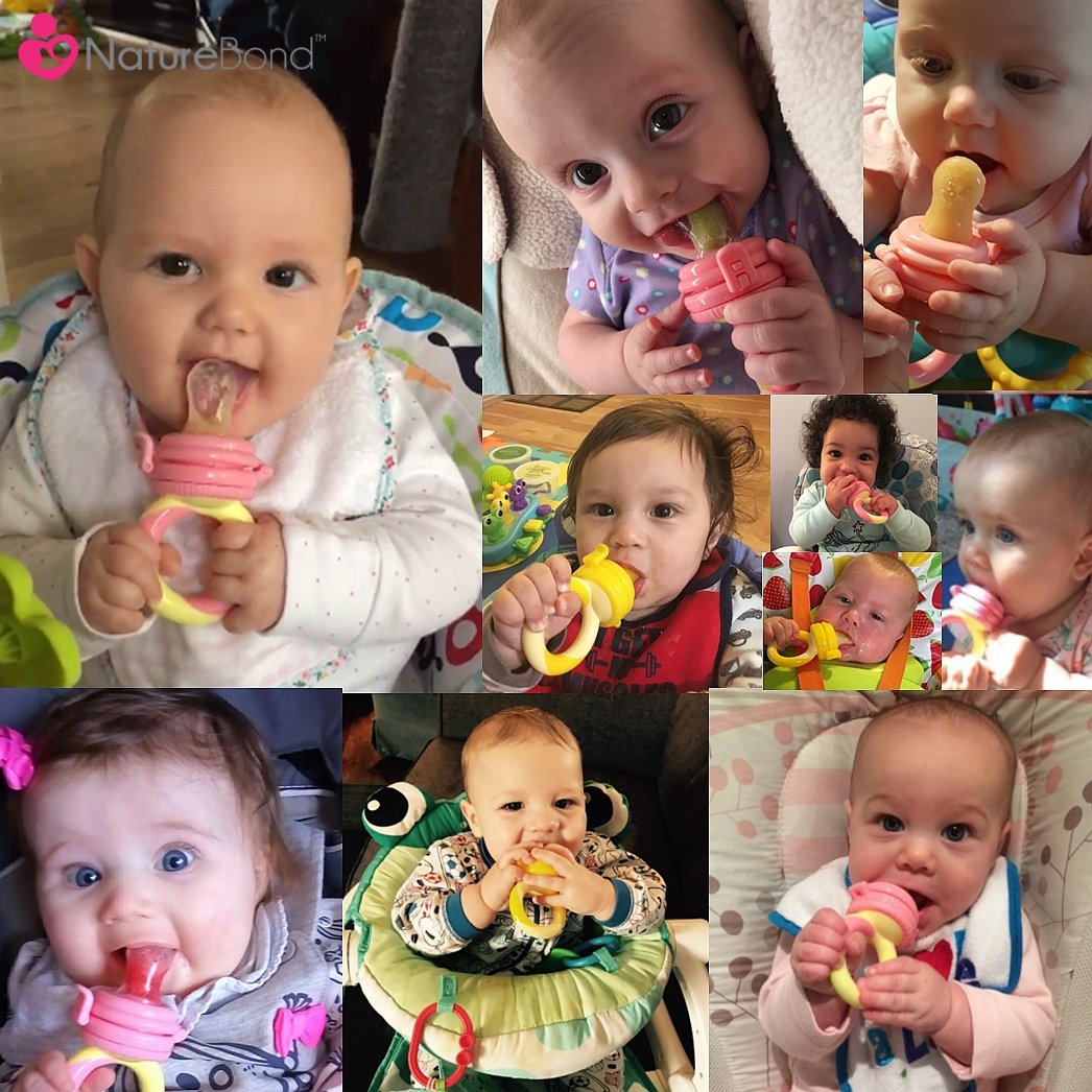 NatureBond Baby Food Feeder/Fruit Feeder Pacifier (2 Pack) - Tots Treasure Trove