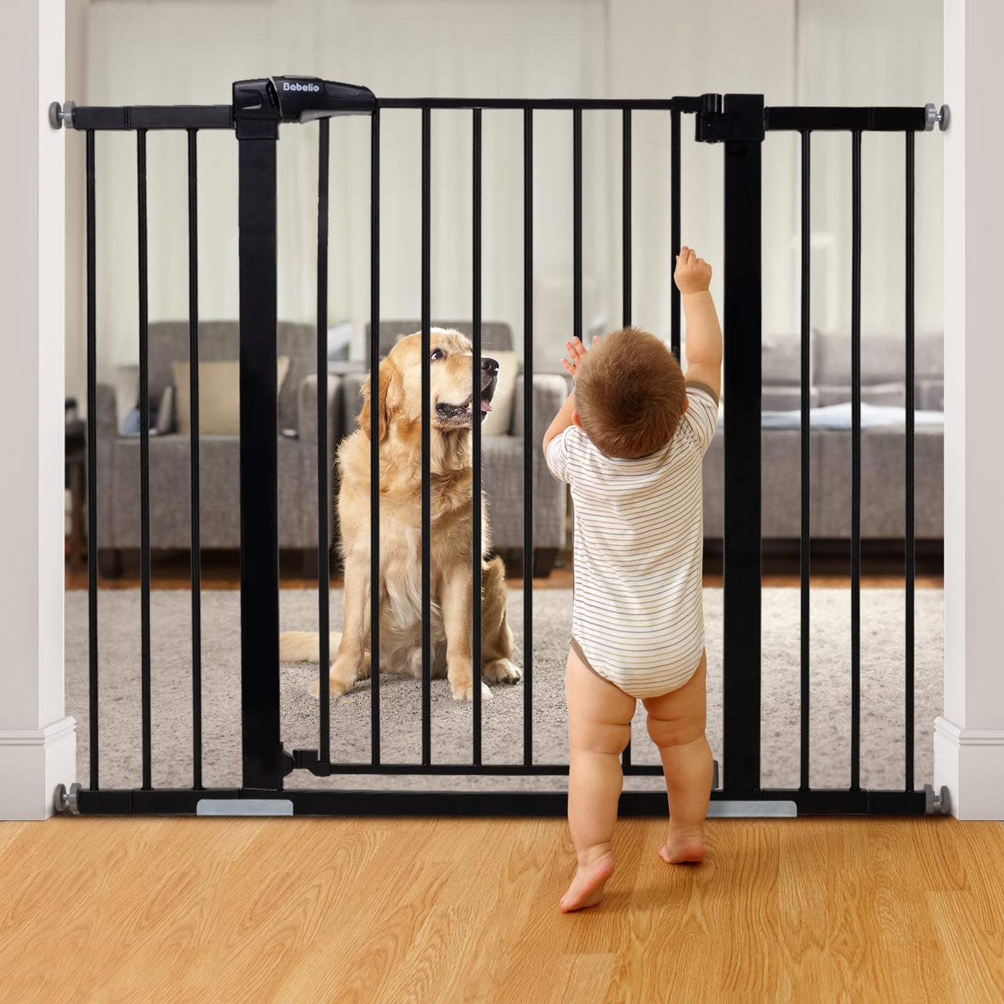 Metal Baby Gate