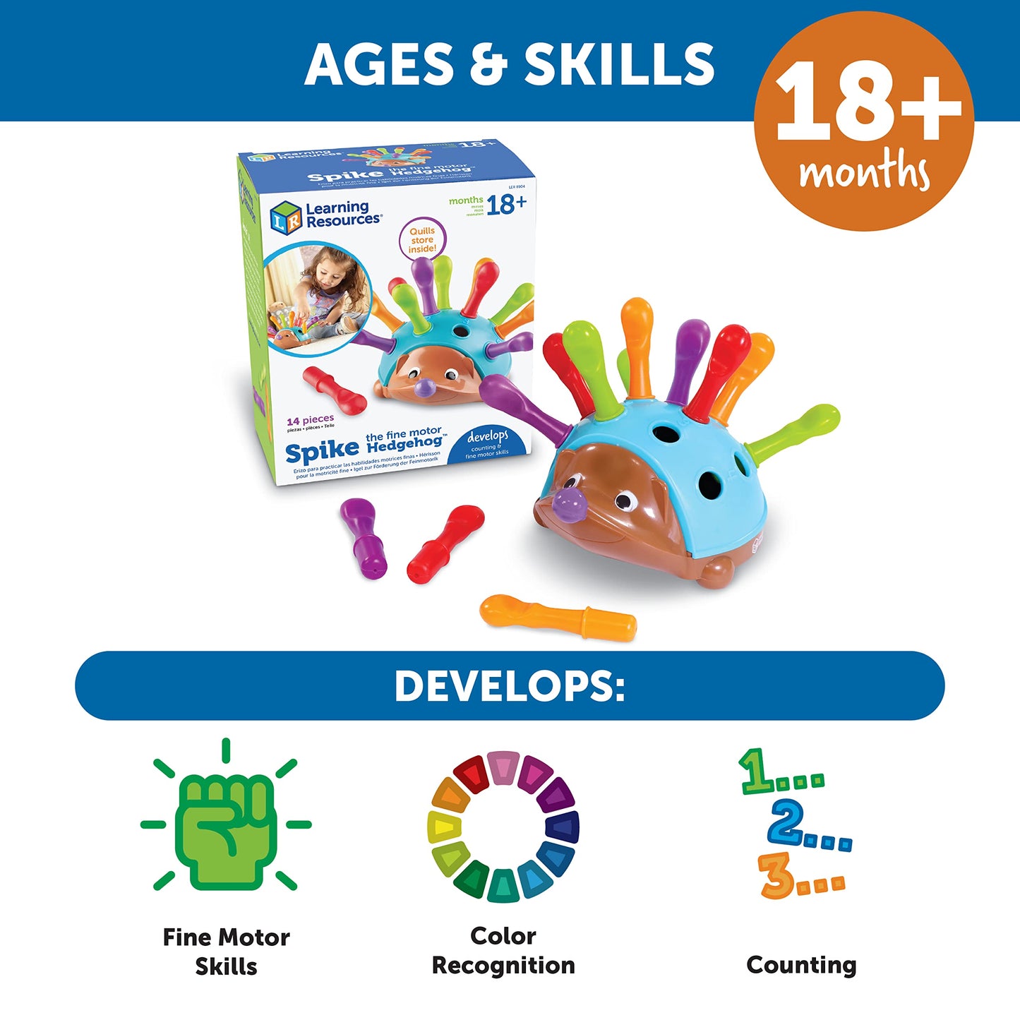 Motor Skill Toy