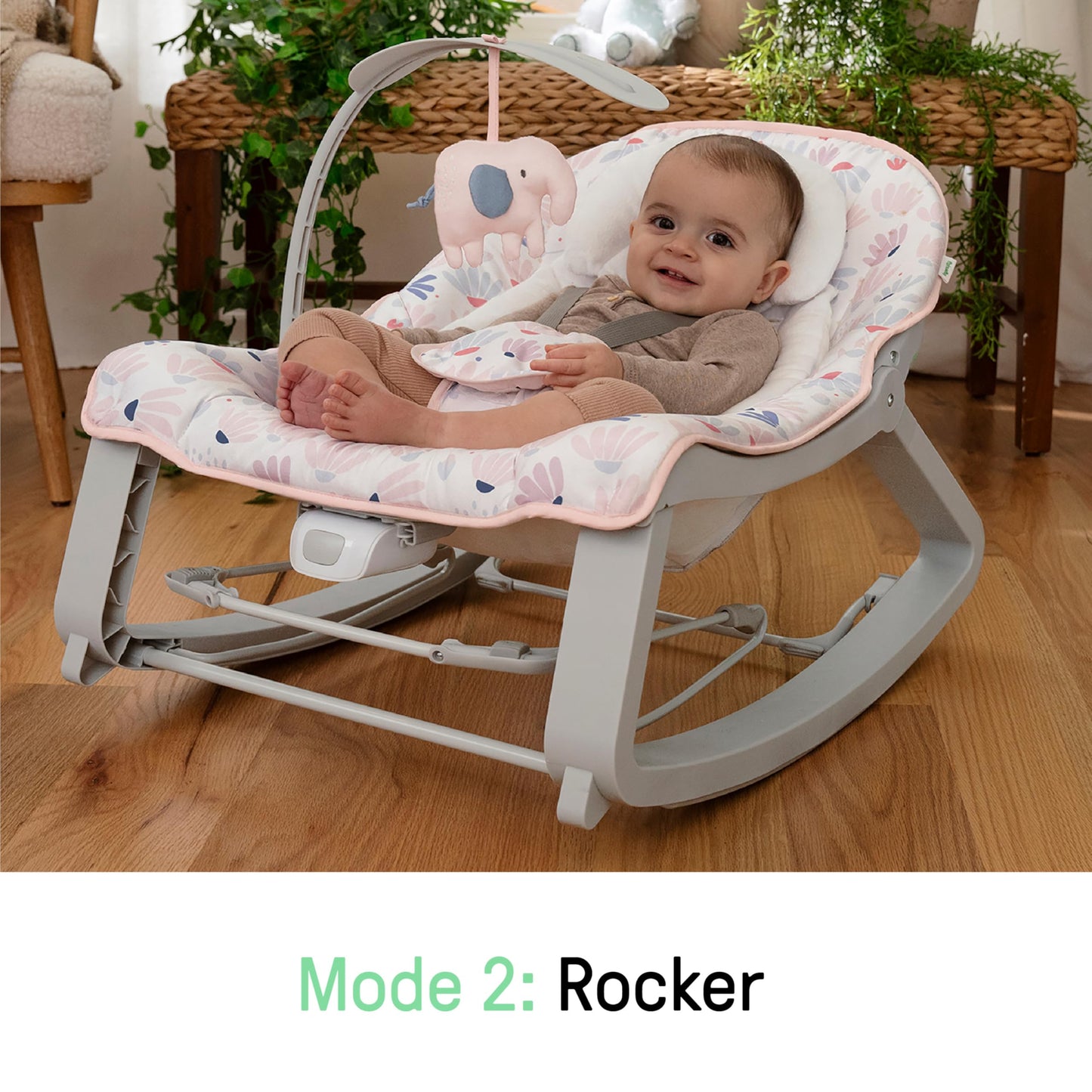 Bouncer Seat & Rocker