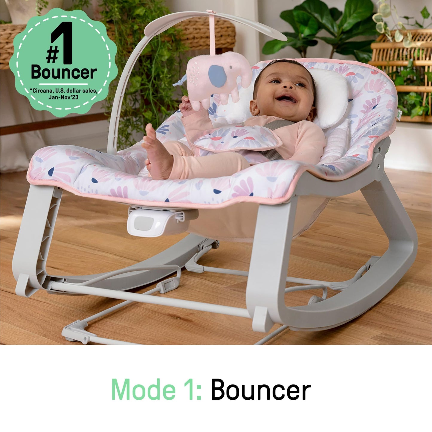 Bouncer Seat & Rocker
