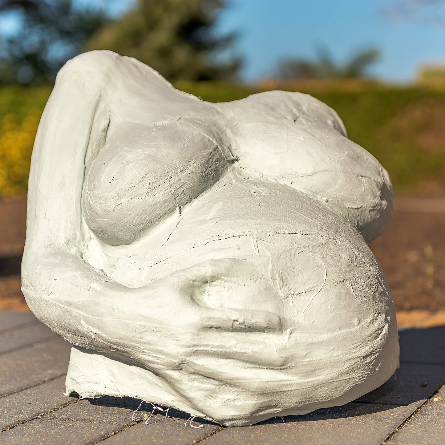 Pregnant Belly Casting Kit