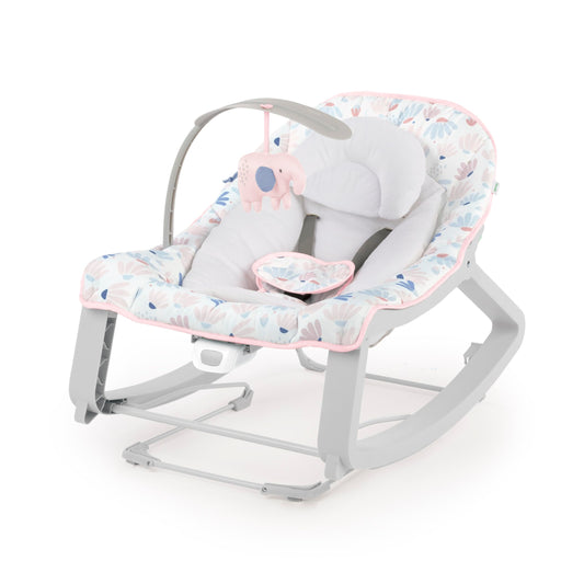 Bouncer Seat & Rocker