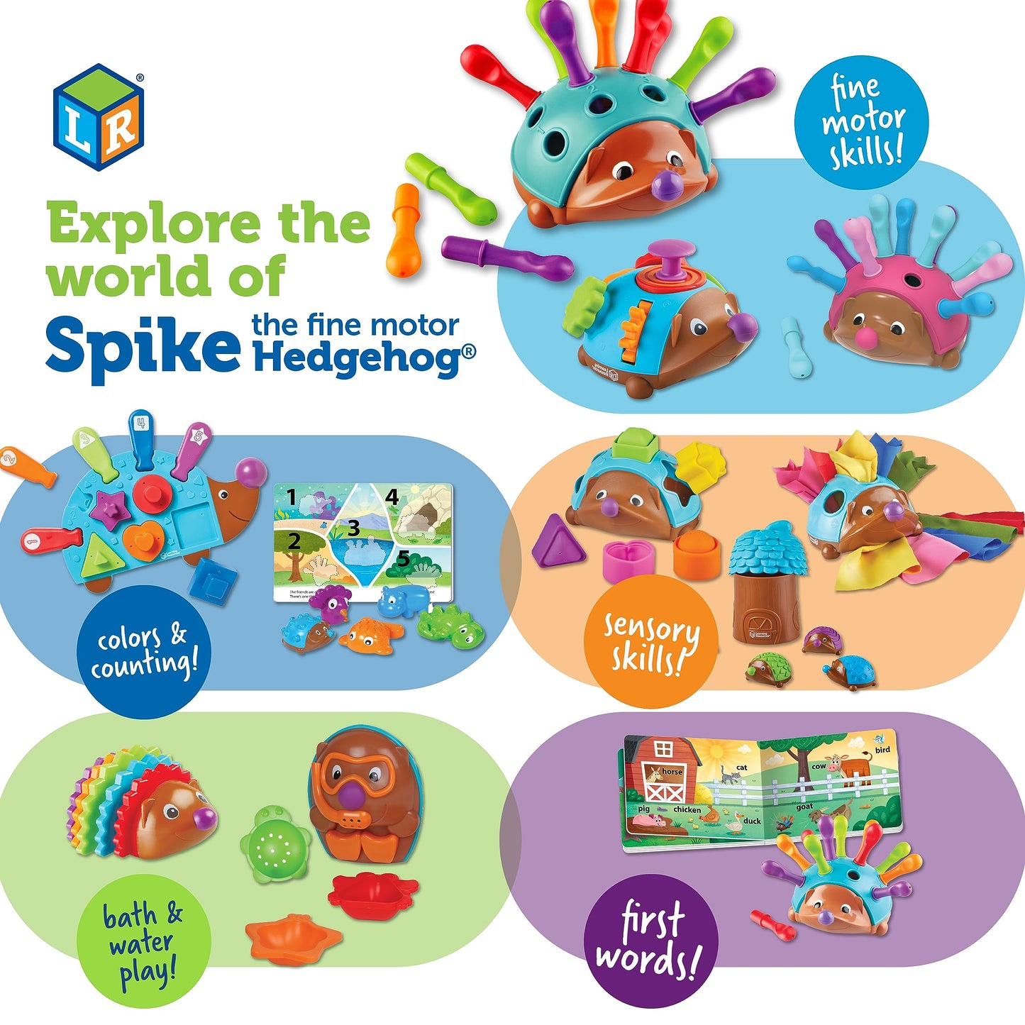 Motor Skill Toy
